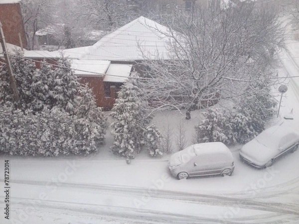 Fototapeta Snowy World