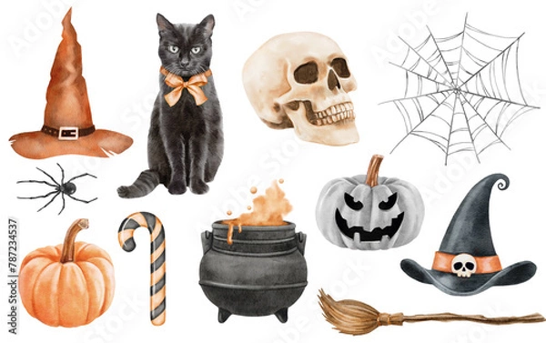 Fototapeta watercolor halloween set of isolated hats, bats and pumpkins on the white background