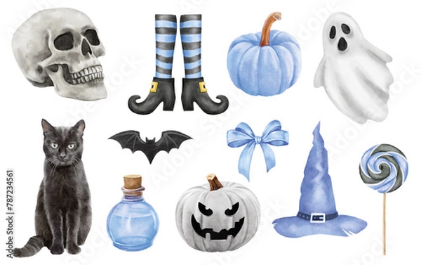 Fototapeta watercolor halloween set of isolated hats, bats and pumpkins on the white background