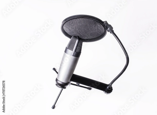 Obraz Microphone and pop filter