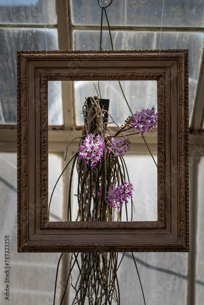 Fototapeta Framed flower 