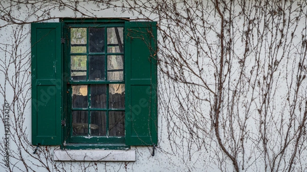 Fototapeta old window with shutters