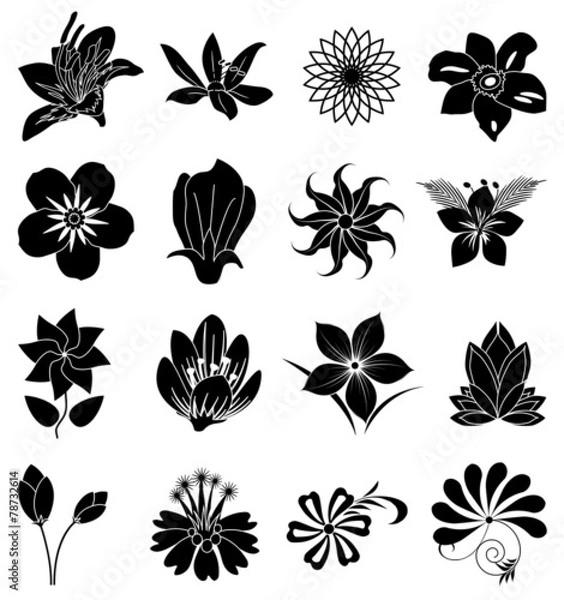 Obraz flower silhouette icons set