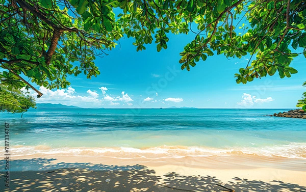 Fototapeta Summer background, Palm tree on tropical beach with blue sky and white clouds abstract background