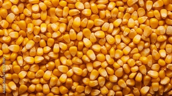 Fototapeta Dry yellow corn kernels, corn background.