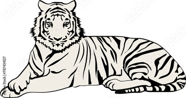 Obraz wildlife tiger outline