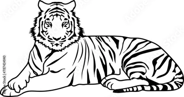 Obraz wildlife tiger outline