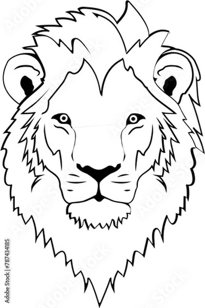 Obraz lion head vector