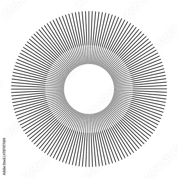 Fototapeta Circular Radial Rays of Sunburst. Abstract Round Design Element. 