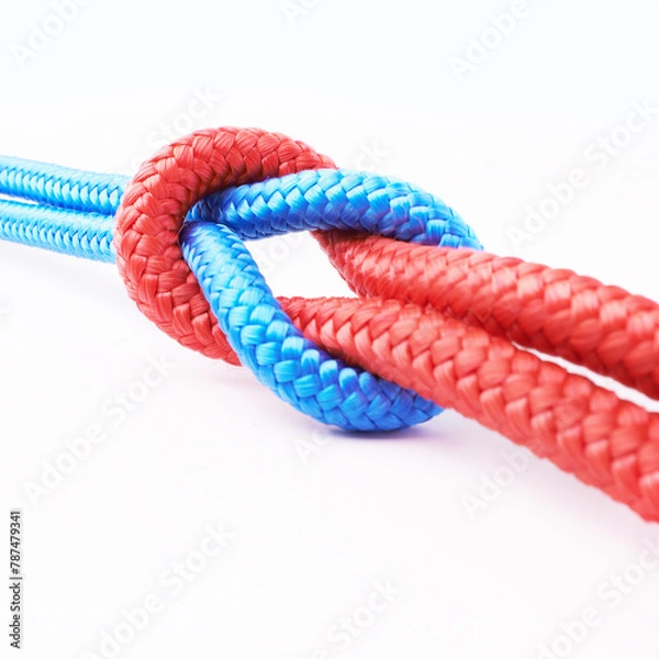 Fototapeta Rope, connection or loop together in white studio background for teamwork, communication or planning. Cables, link or knot with color for diverse community, business support and creative solidarity