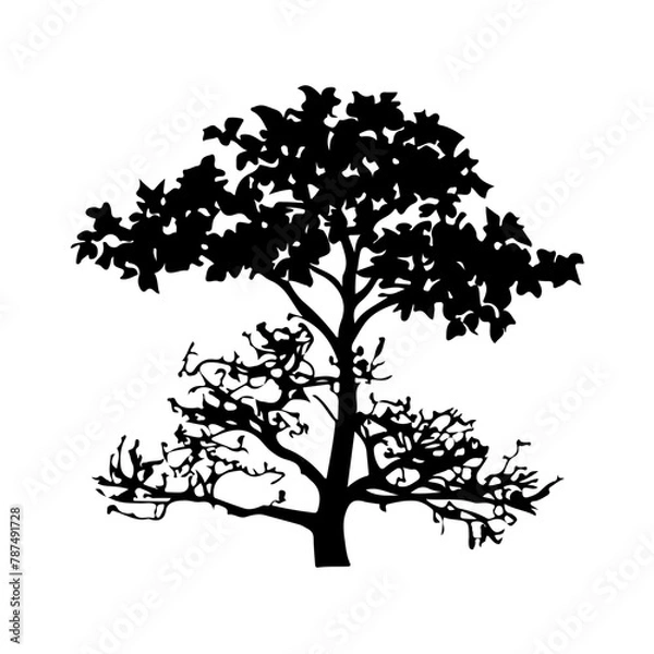 Fototapeta Tree Silhouette Vector Clipart.