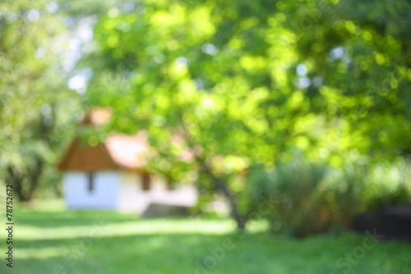 Fototapeta Dom wśród drzew