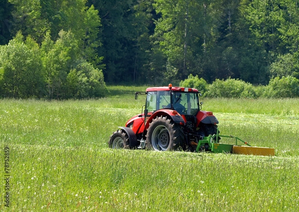 Obraz red tractor mows the grass