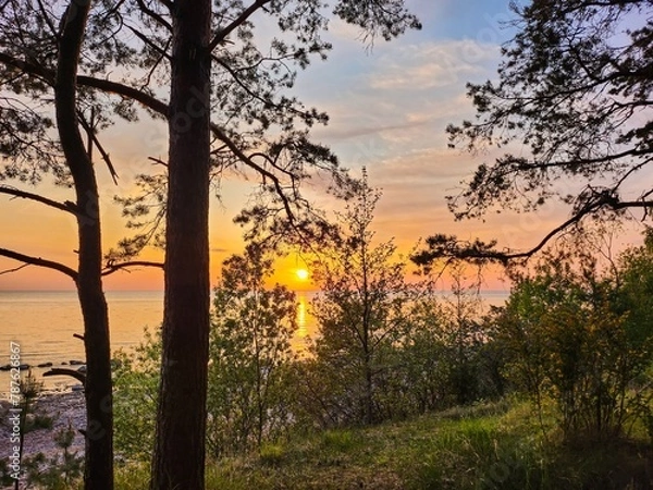 Fototapeta Picturesque sunset over the calm sea, the golden hues reflecting off the water, framed by the silhouettes of pine trees on the shore, creating a mesmerizing and serene scene in natures canvas.