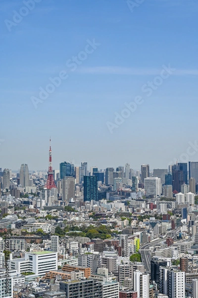 Obraz 日本の首都東京の都市風景