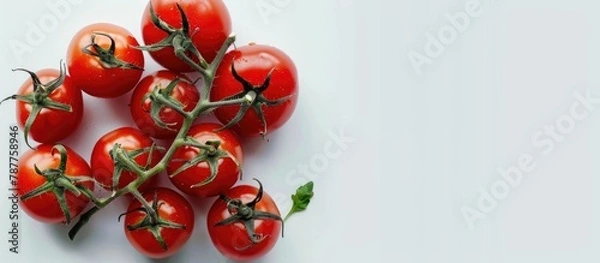 Fototapeta Fresh tomatoes bunch seen from above on white background