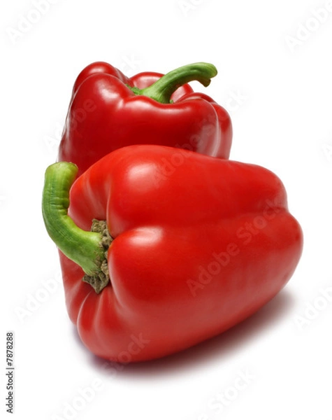 Obraz Two Red Capsicum