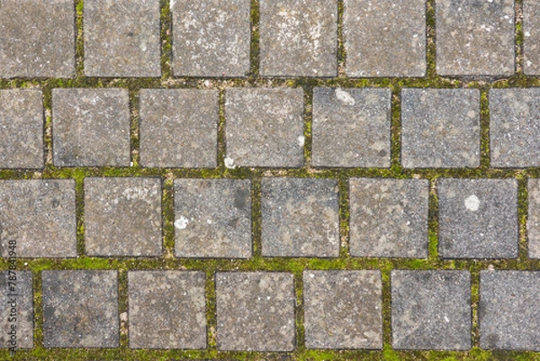 Fototapeta A fragment of an old pavement made of gray antique granite stones of regular square shape. The seams between the cobblestones are overgrown with green moss. Background. Texture.