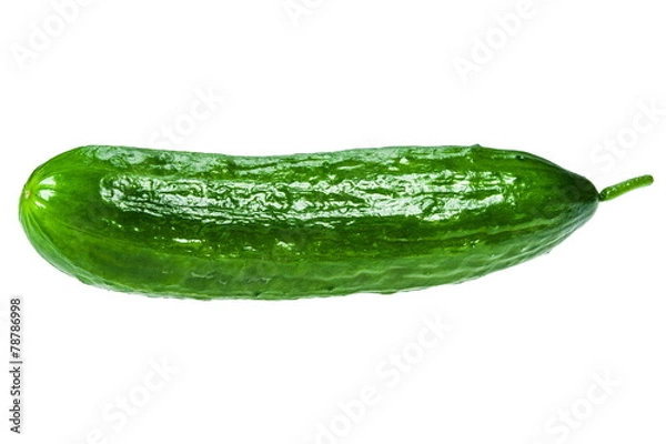 Obraz ogórek na białym tle