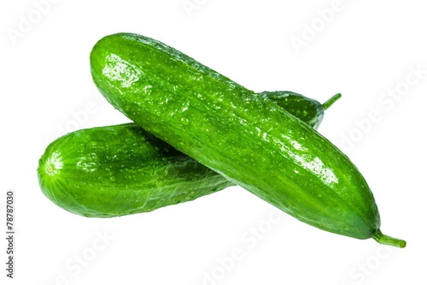 Obraz ogórki na białym tle