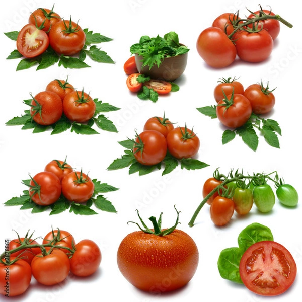 Fototapeta Tomato Sampler with clipping paths