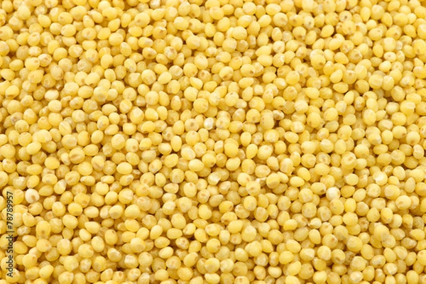 Fototapeta millet background