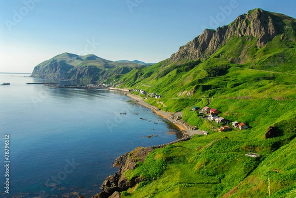 Obraz 礼文島元地海岸