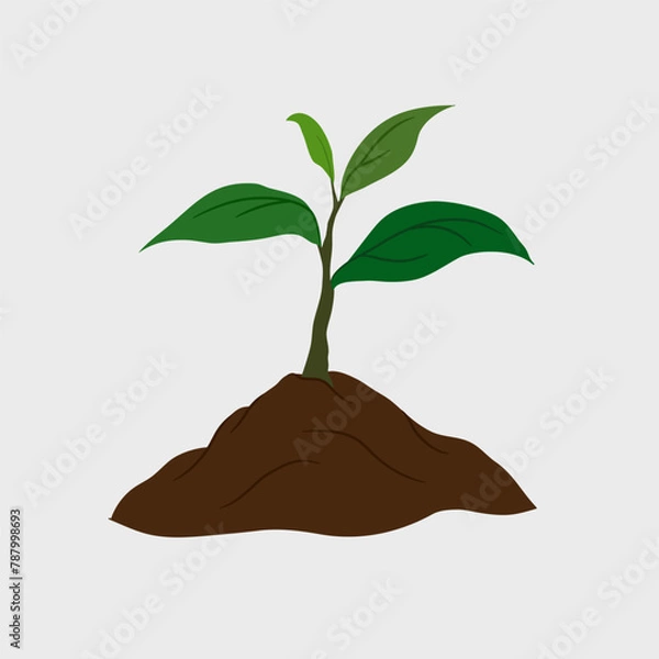 Obraz Plant seeds grow in the ground