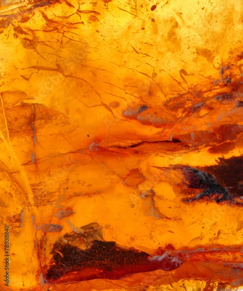 Fototapeta Baltic amber, resin segments, fossil millions of years