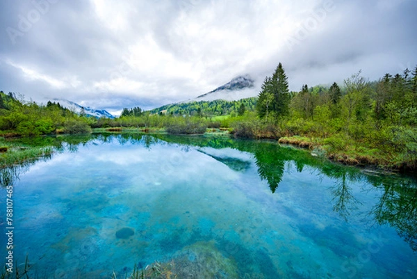 Fototapeta Nature Reserve Zelenci, krajnska gora, Slovenia, Europe. Wonderful morning view of Zelenci nature reserve. Slovenia travel.