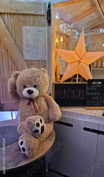 Fototapeta teddy bear on the bench