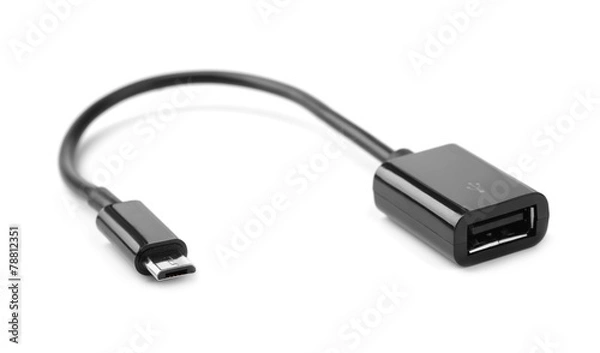 Obraz OTG сable