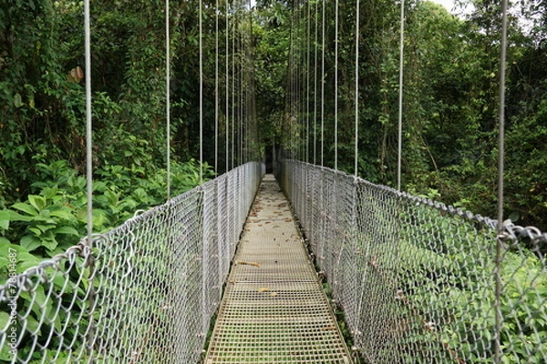 Obraz pont suspendu - Costa Rica