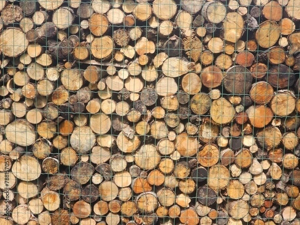Obraz stack of wood