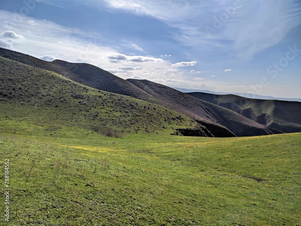 Fototapeta Hills in sunny day. Mountain landscape. Amazing nature scenery with alpine meadow. Awesome natural background or wallpaper.