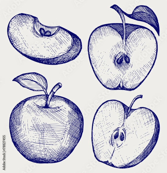 Fototapeta Fresh apple with leaf and slice. Doodle style