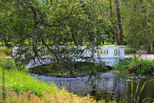 Fototapeta bridge in the park in summer 
