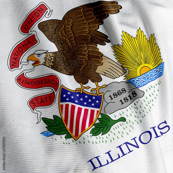Fototapeta Illinois Flag Closeup