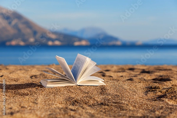 Obraz Book on a beach