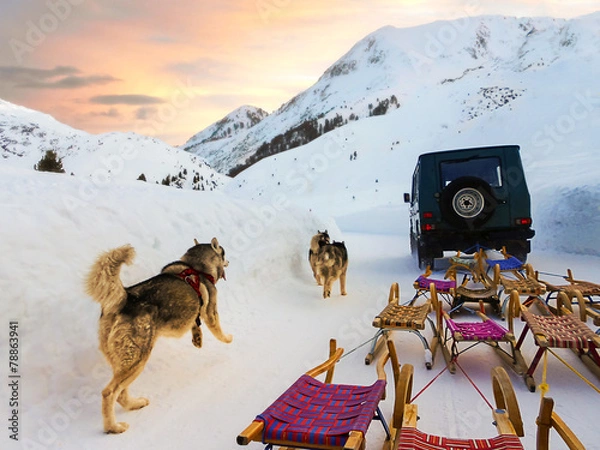 Obraz Schlittenfahrt