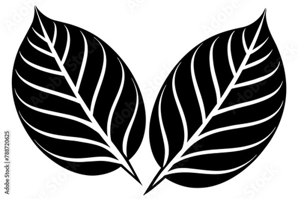 Obraz Leaf Pair Icon Vector silhouette 