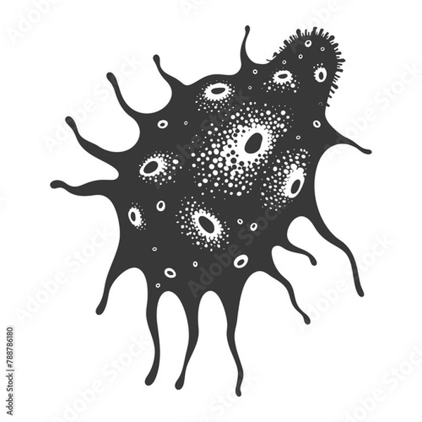 Fototapeta Silhouette amoeba animal black color only