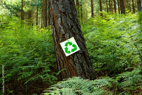 Obraz Recycle sign on a pine tree