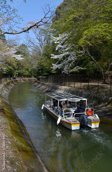 Fototapeta 琵琶湖疏水　びわ湖疏水船　京都市山科区