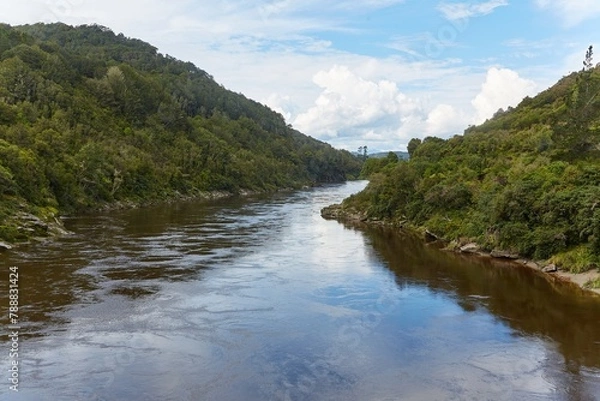 Fototapeta River in the New Zealand wilderness