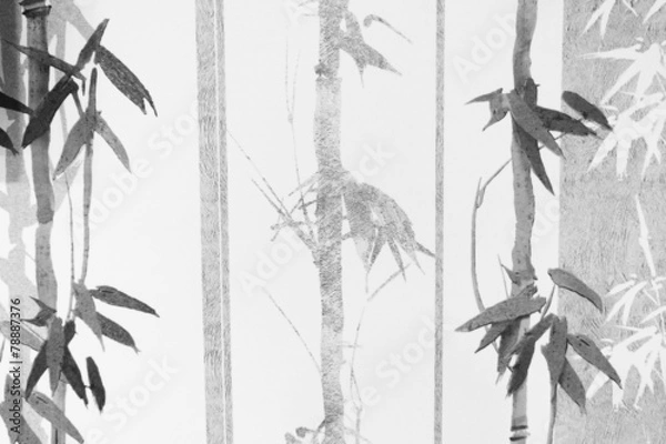 Obraz Bambus / tekstura