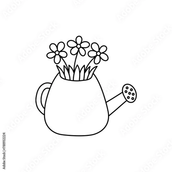 Obraz Watering can with flowers