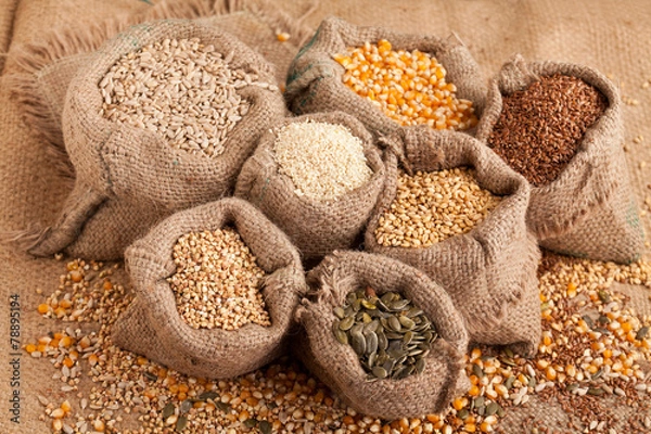 Obraz Ekologiczne nasiona w worku jutowym