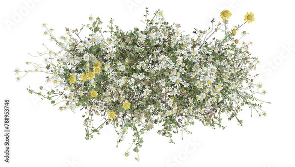Obraz Top view Evergreen colorful flowers and grass field in nature with isolated on transparent background - PNG file, 3D rendering for create and design or etc