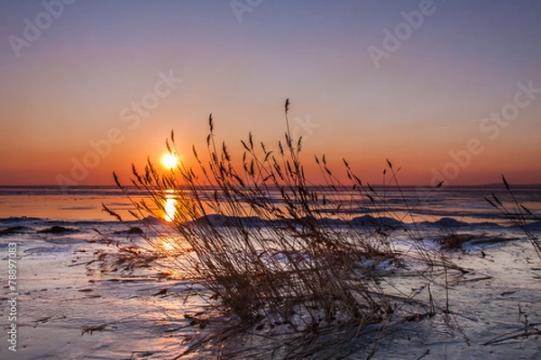 Fototapeta Cold winter, warm sunset